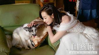 宋茜爆料结局视频,揭秘剧情高潮与感人泪点